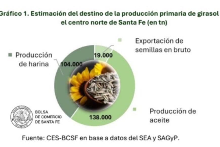 Fuente: BCSF