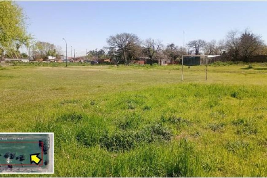 Las imágenes que forman parte de los pliegos.