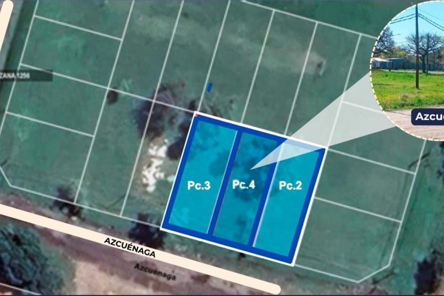 Parte de los lotes que entran as subasta.