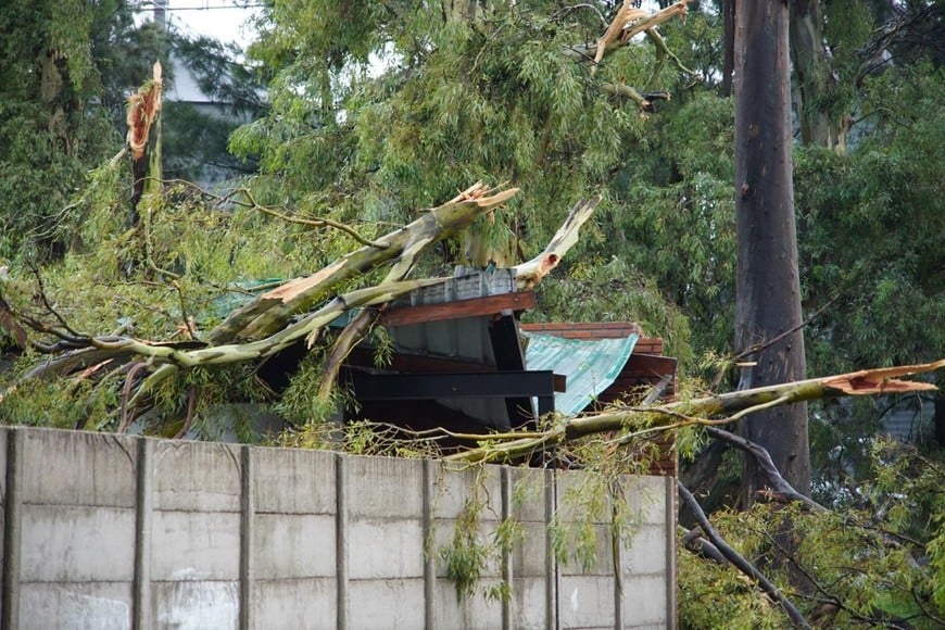 La tormenta derribó la estructura de un acopio de granos y generó destrozos en la localidad. Credito: Fernando Nicola