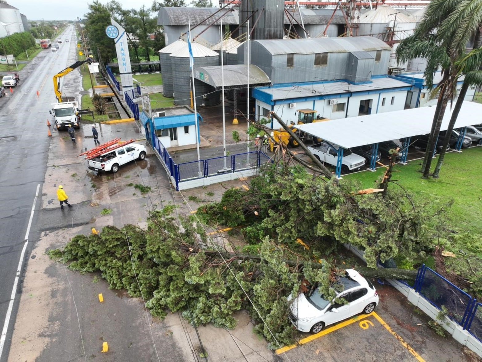 Temporal destruyó una planta de acopio en Bombal.