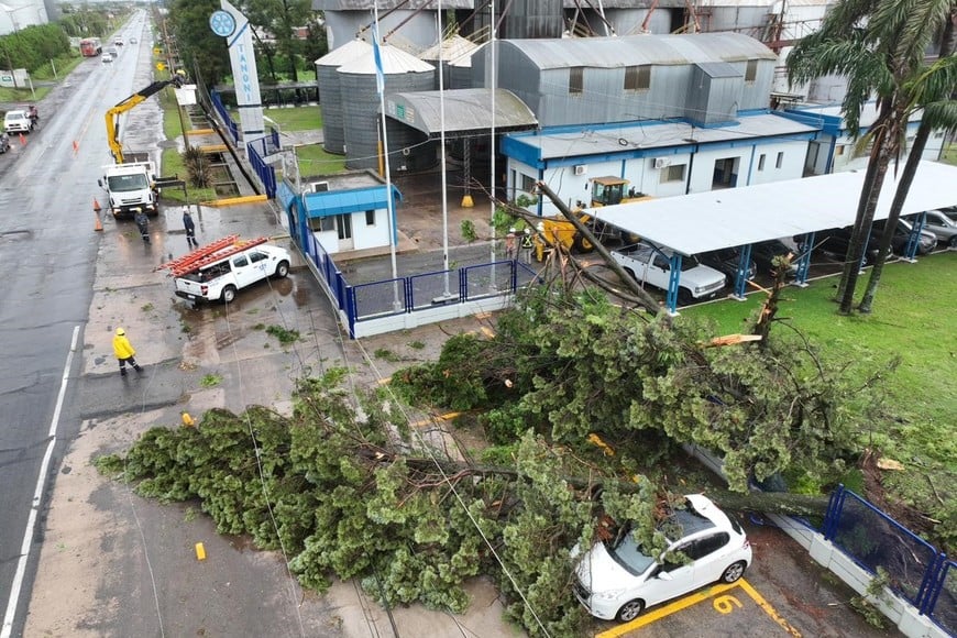 Temporal destruyó una planta de acopio en Bombal.
