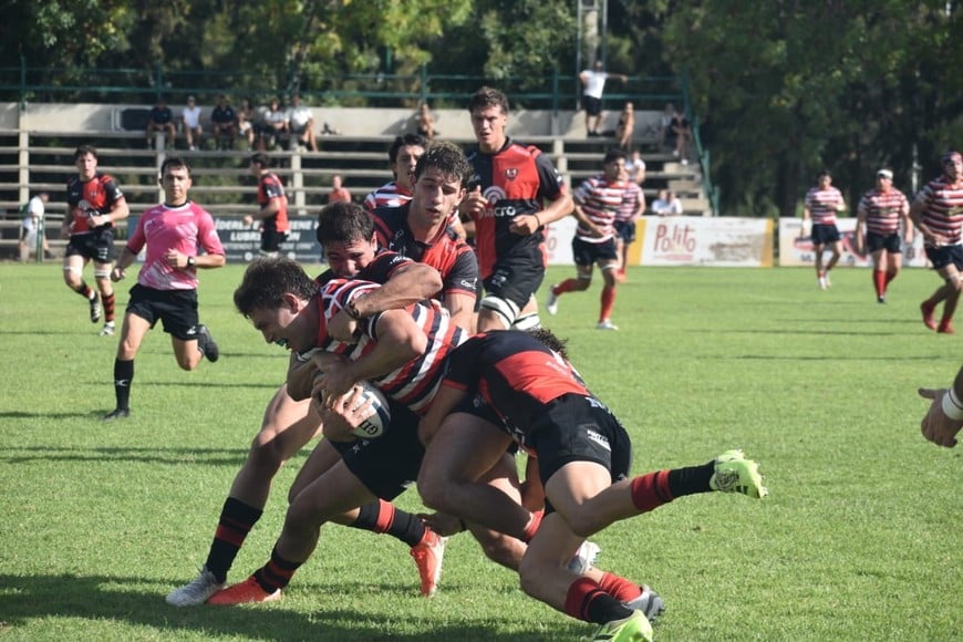 Crédito: Mariana Diburzi / Prensa SFRC