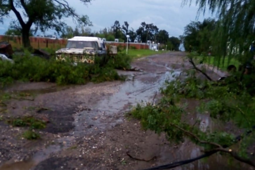 Graves daños por el paso de un temporal en localidades del sur santafesino. Fotos: Gentileza RTS