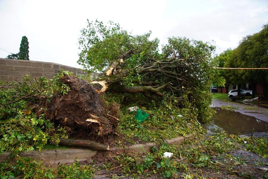 La tormenta derribó la estructura de un acopio de granos y generó destrozos en la localidad. Credito: Fernando Nicola
