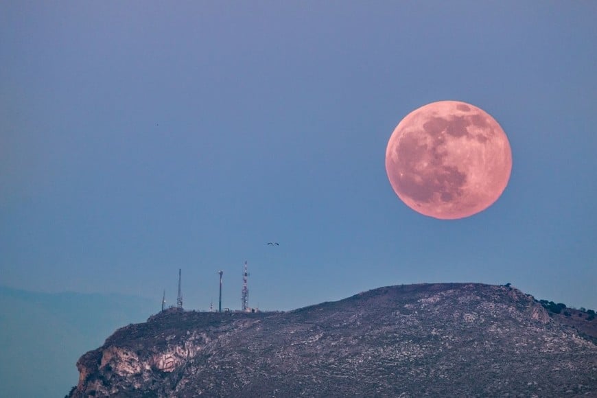 La llamada Luna Rosa no cambia de color.