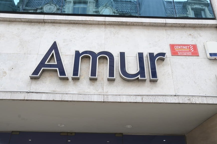 AMUR. Crédito: Guillermo Di Salvatore.