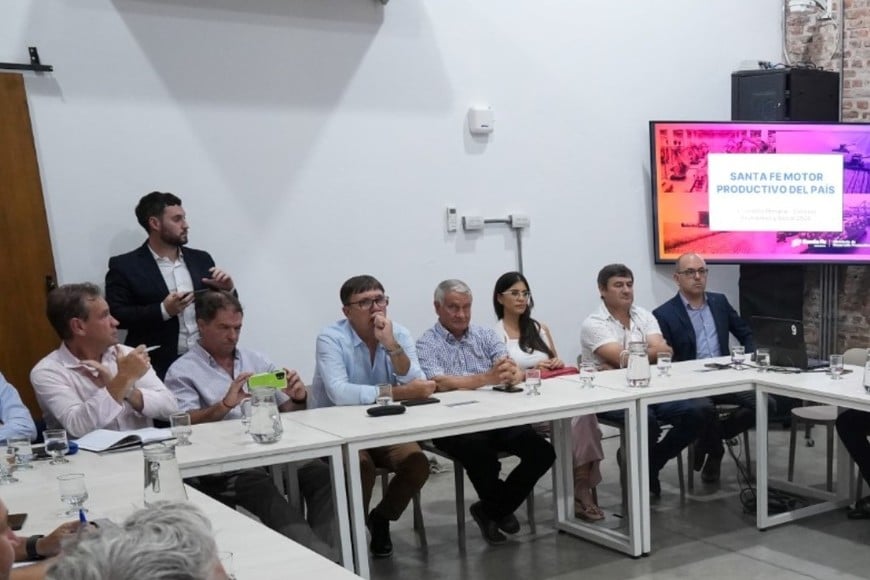 La asamblea plenaria del Consejo Económico y Social de la Provincia de Santa Fe. Foto: Gobierno de Santa Fe.
