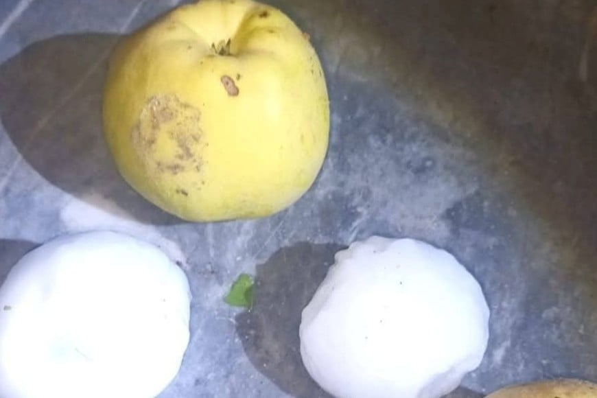 Feroz granizo en San Rafael: hubo daños, árboles caídos y cortes de luz en el sur mendocino