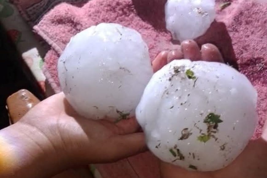 Feroz granizo en San Rafael: hubo daños, árboles caídos y cortes de luz en el sur mendocino