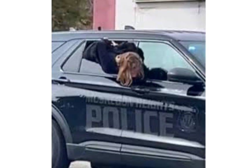 El video se viralizó rápidamente.