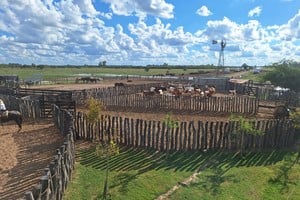 Con cada edición, Huellas de Tradición reafirma su identidad y amplía su alcance. Fotos: Gentileza
