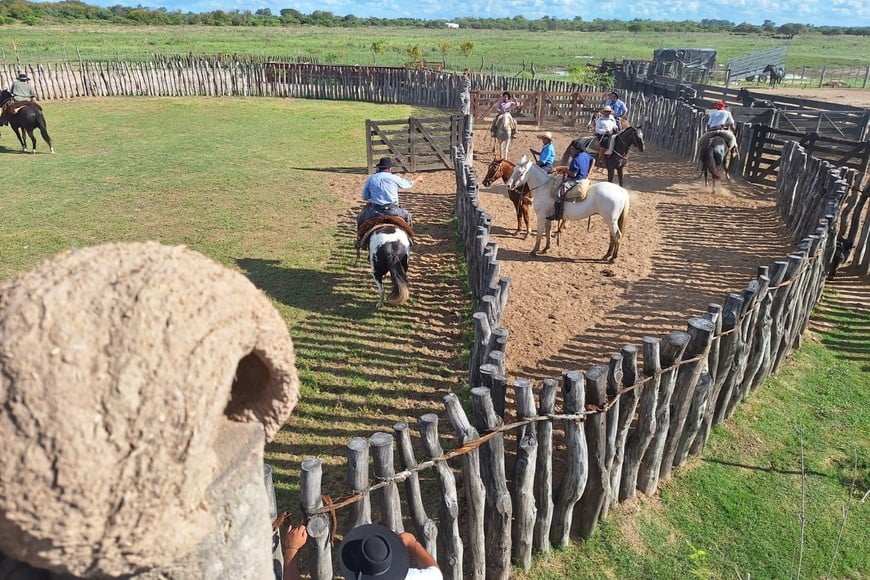 Con cada edición, Huellas de Tradición reafirma su identidad y amplía su alcance. Fotos: Gentileza