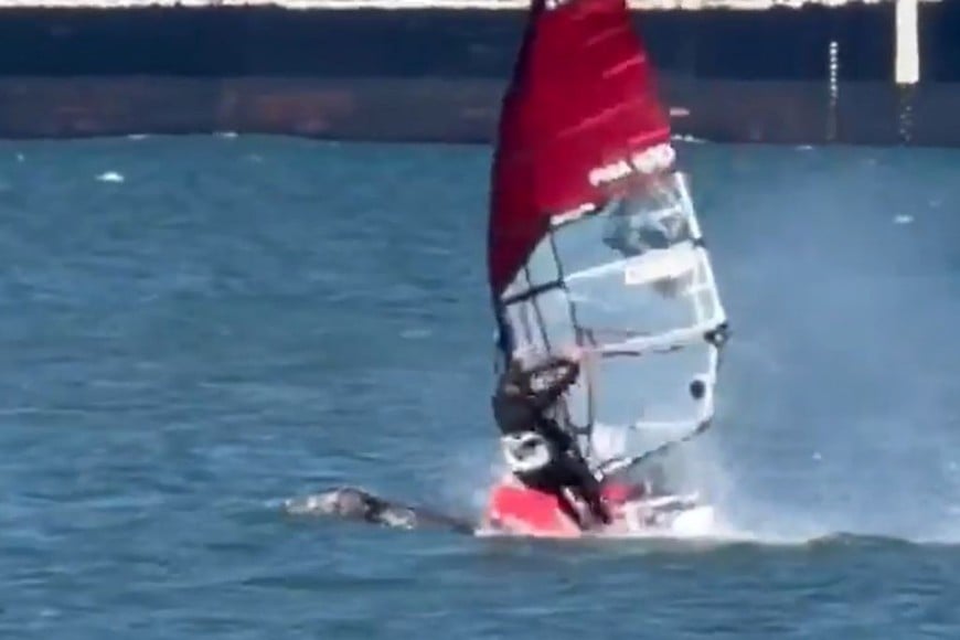 El momento en que Eric Kramer impacta contra una ballena