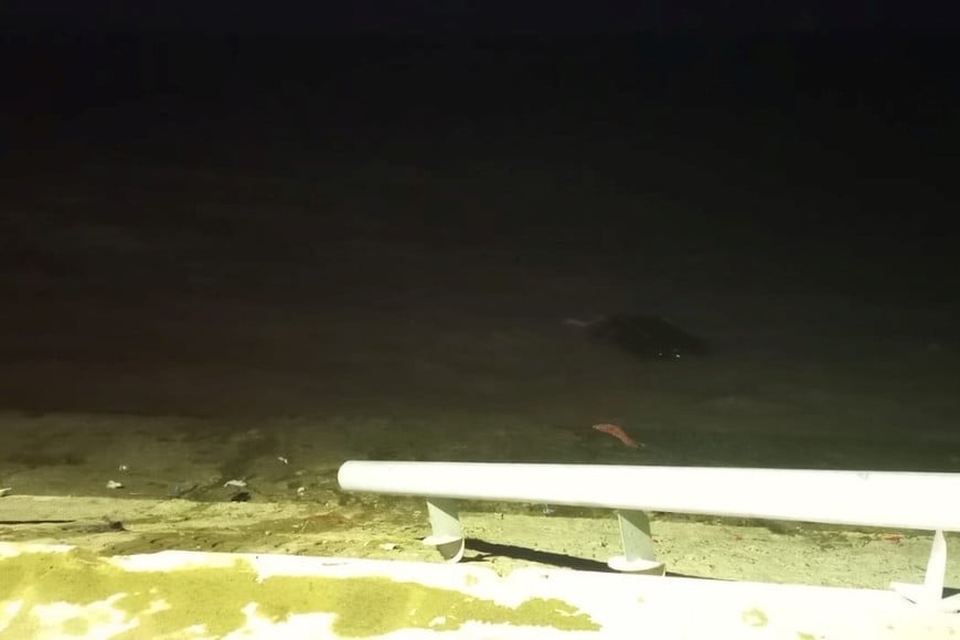 El vehículo perdió el control, atravesó una estructura de contención