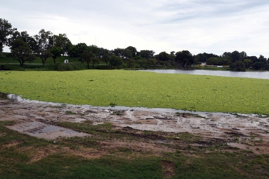 Créditos :Guillermo Di Salvatore