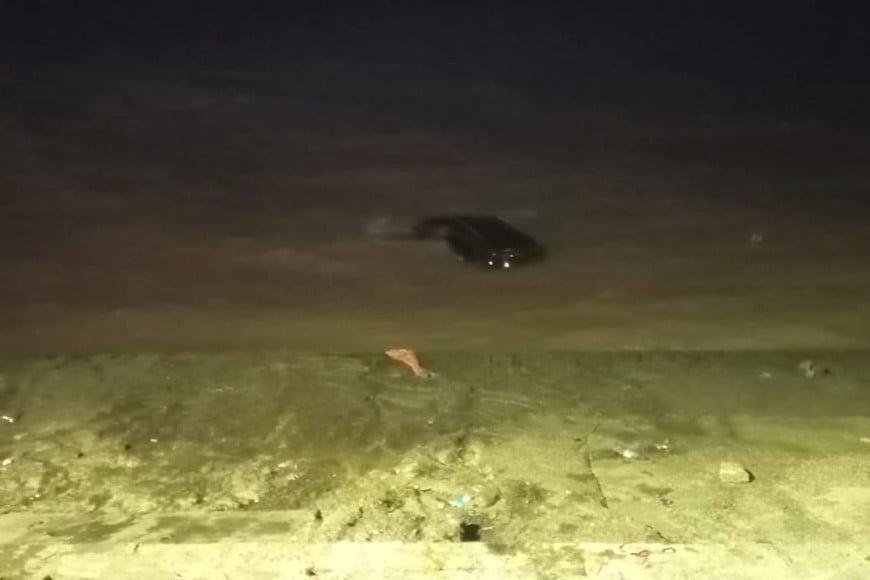 Una camioneta cayó al Río de la Plata