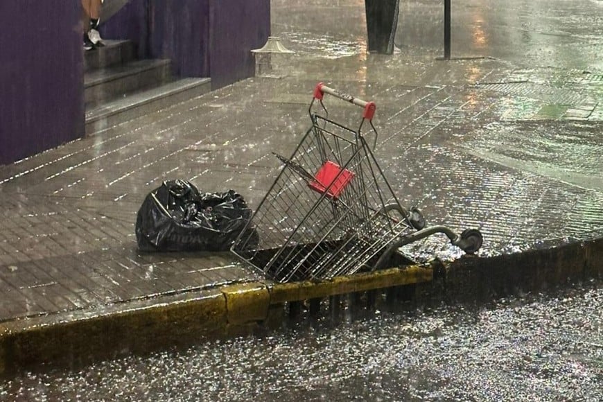 Alerta amarilla en la región: lluvias sostenidas y múltiples incidentes por el estado del arbolado