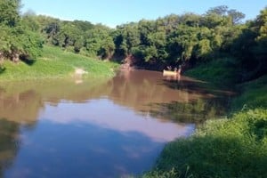Tragedia en el norte santafesino: hallaron ahogados a dos hermanos en un arroyo de Florencia
