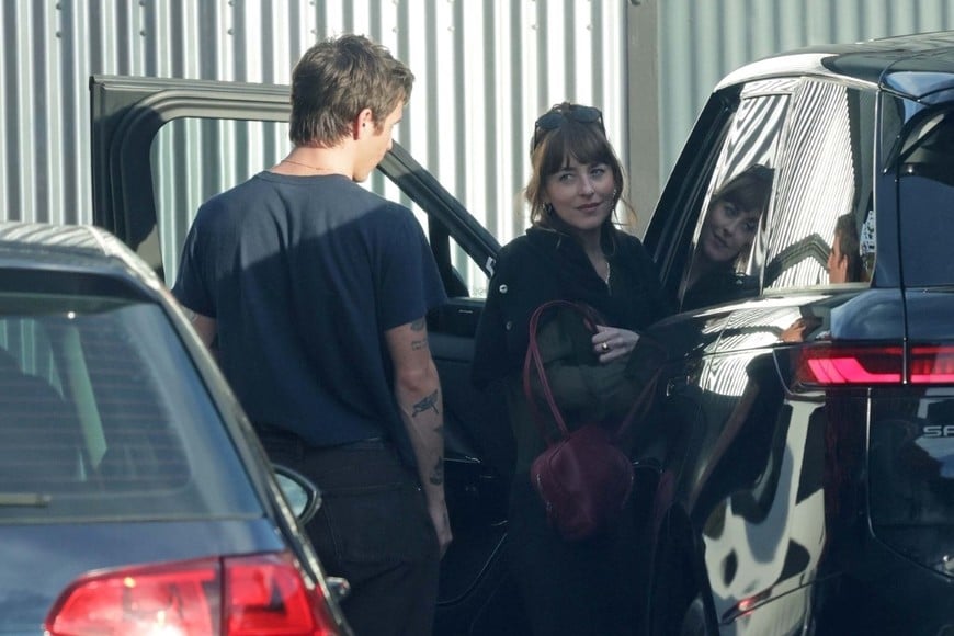 dakota johnson y role model