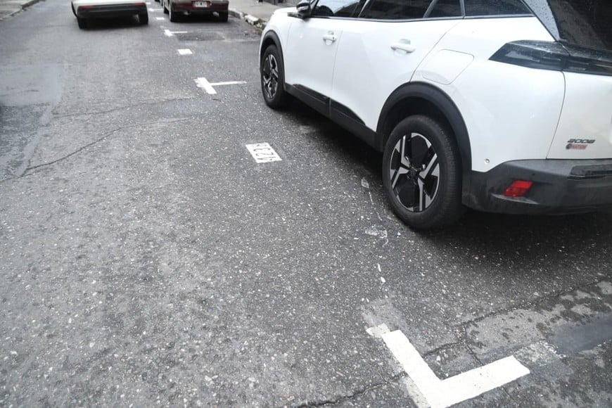 nuevo seom. Crédito: Guillermo Di Salvatore.