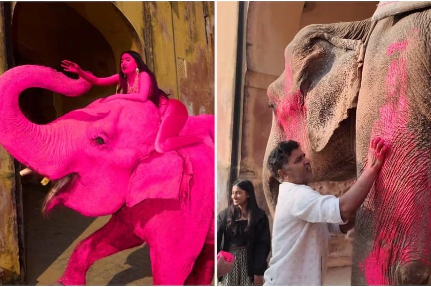 El entorno de la producción aseguró que se utilizó gulal orgánico y que la pintura fue retirada poco después.