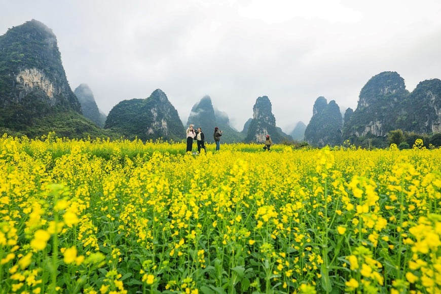 (260325) -- BEIJING, 25 marzo, 2026 (Xinhua) -- Imagen del 24 de marzo de 2026 de turistas disfrutando del paisaje entre flores de colza, en el poblado de Zhemu, en el distrito de Yanshan de Guilin, en la región autónoma de la etnia zhuang de Guangxi, en el sur de China. (Xinhua/Liu Jiaoqing) (ah) (ra) (vf)