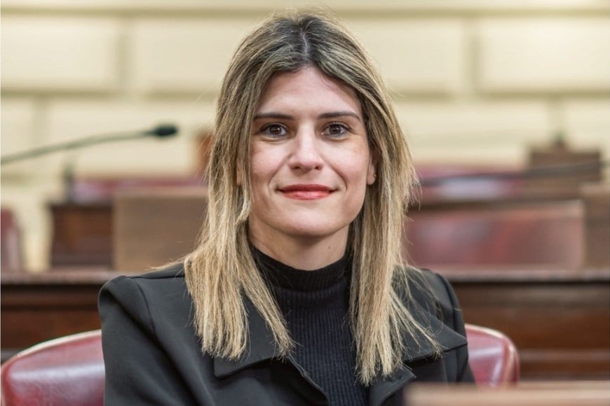 María del Rosario Mancini. Crédito: Diputados