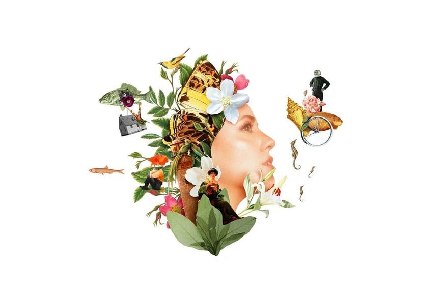 Gentileza producción