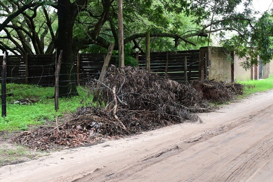 En algunos sectores, los montículos son muy grandes. Flavio Raina.