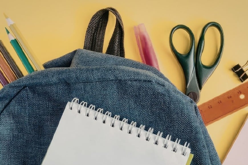 El pago se realizará en una sola cuota y de manera simultánea con la Ayuda Escolar Anual