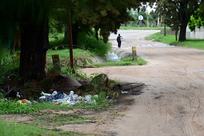 Poda y basura, en las esquinas. Flavio Raina.