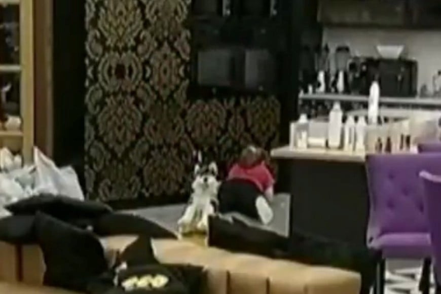 El hecho quedó registrado por las cámaras del programa