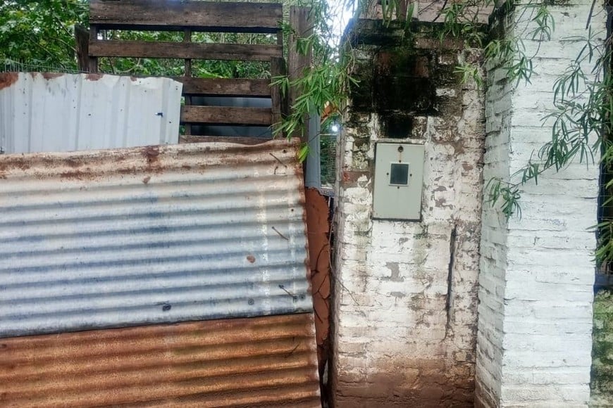 robo refugio Protectora de Animales