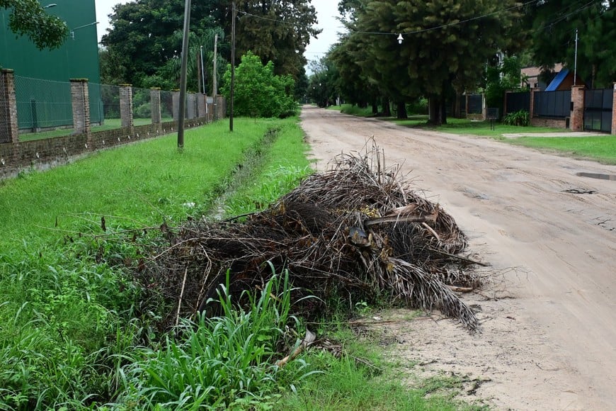 Los restos de poda ocupan el zanjón e impiden el escurrimiento de los excedentes pluviales. Flavio Raina.
