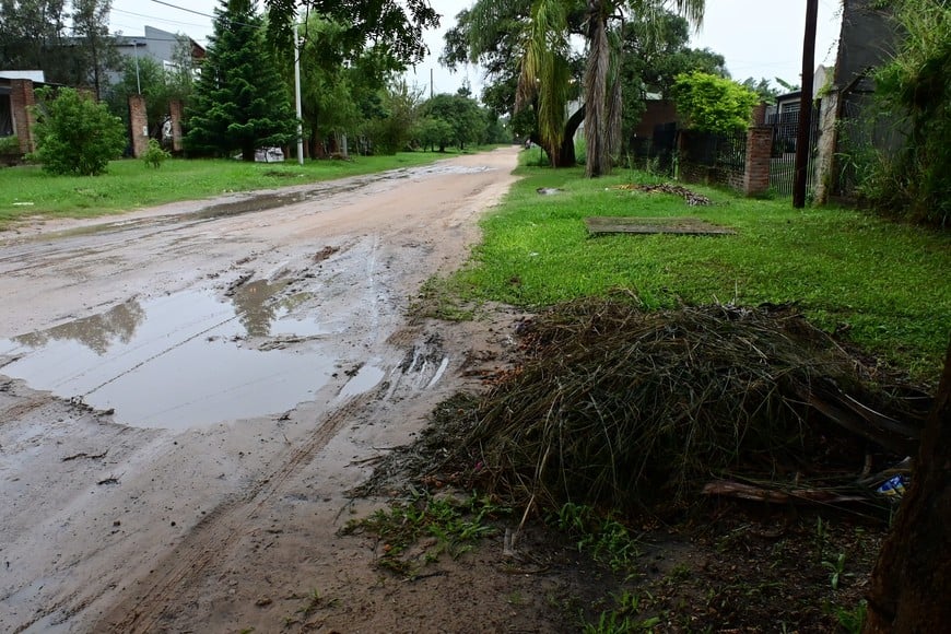 Ramas y agua acumulada, una postal que se repite. Flavio Raina.