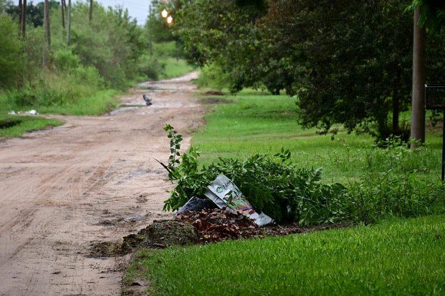 Más restos de poda, por todo el barrio. Flavio Raina.