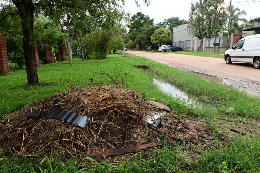 Montículos de desechos verdes mezclados con chapas. Flavio Raina.