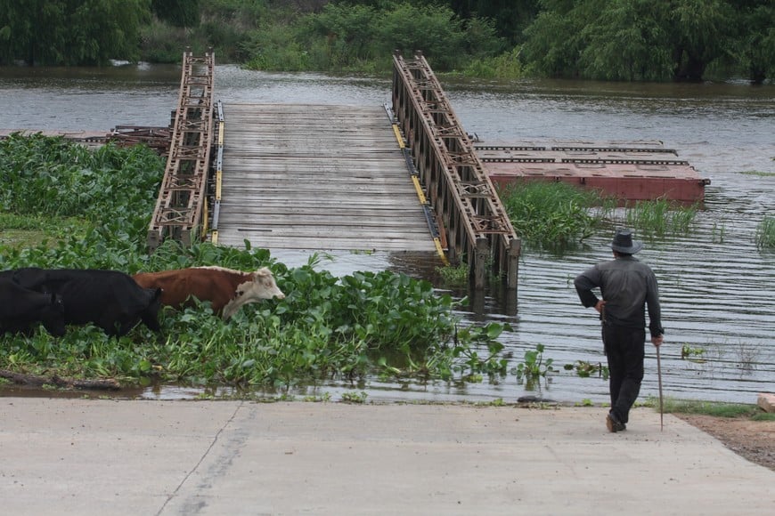 Cuando crece el río hay que retirar el ganado de las islas. Archivo.