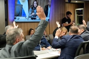Seguridad Interior, la última comisión que quedaba por conformar en Diputados, quedó a cargo de María Florencia De Sensi (PRO). Foto: Cámara de Diputdos.