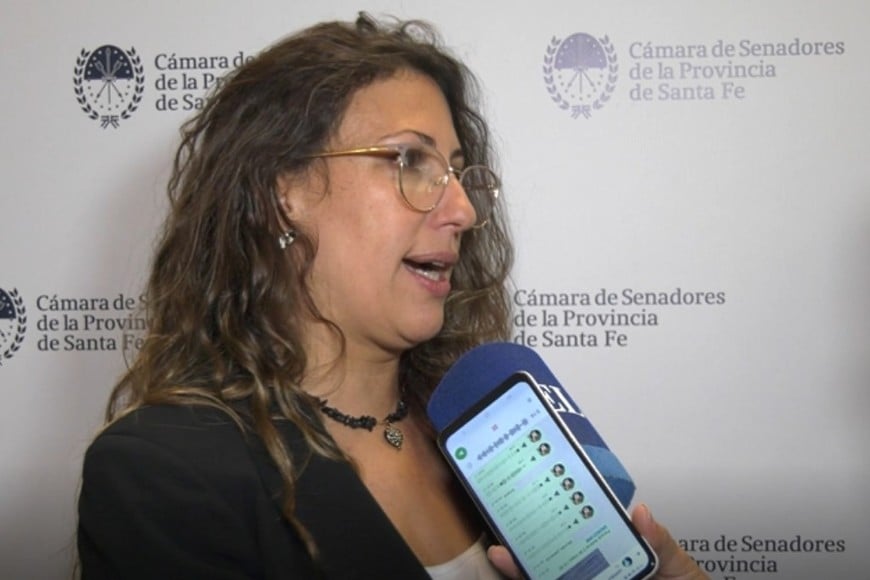 Diputada provincial Varinia Drisun. Crédito: El Litoral.