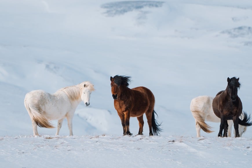 Fotorreportaje de Inés Garbarino (Gentileza).