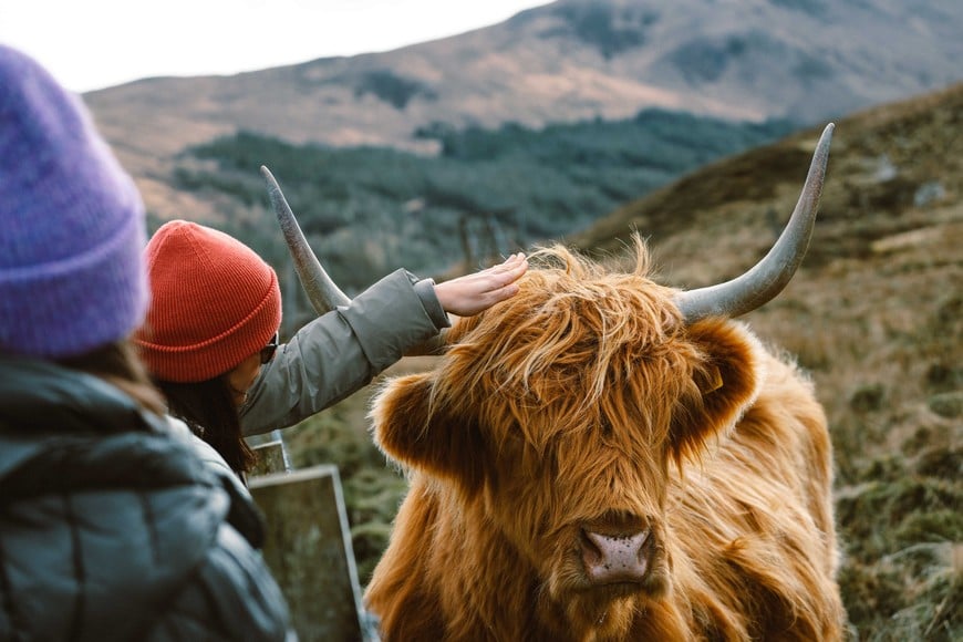 Fotorreportaje de Inés Garbarino (Gentileza).