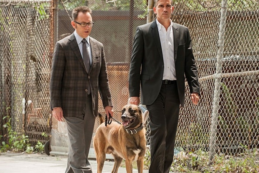 Evitar crímenes, una de las misiones de la dupla. Gentileza