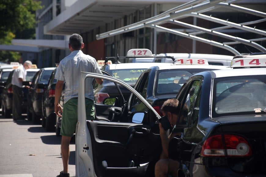 Imagen ilustrativa. Crédito: Guillermo Di Salvatore