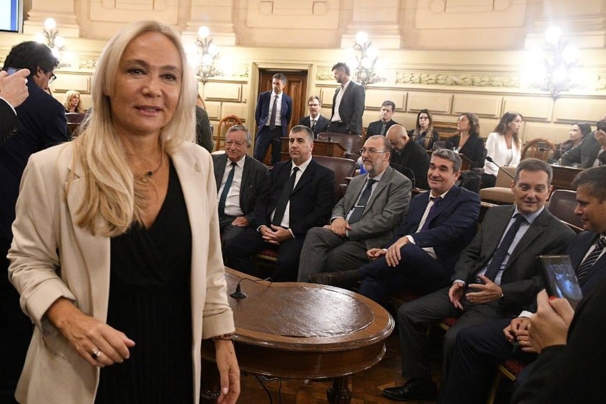 Menos homicidios, pero más violencia juvenil: la advertencia de Vranicich ante el Senado