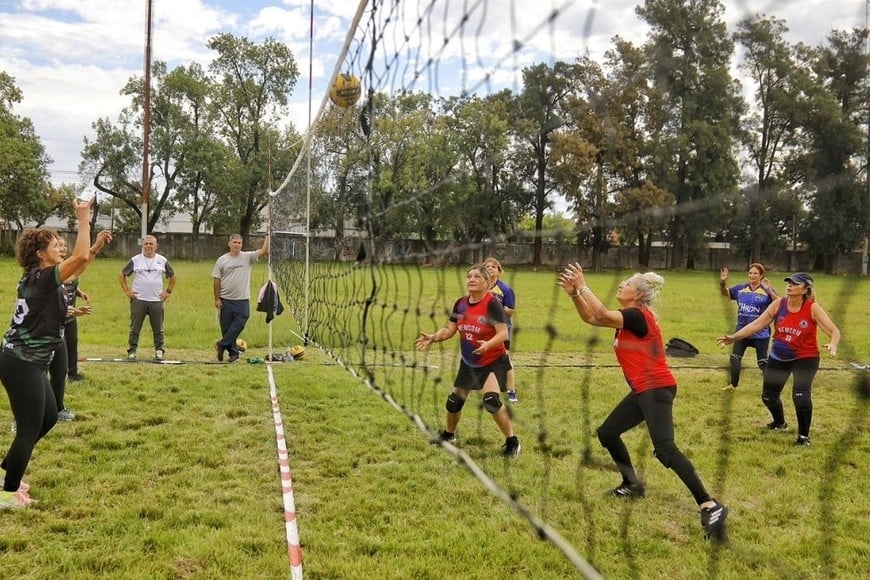 Créditos: Matias Pintos