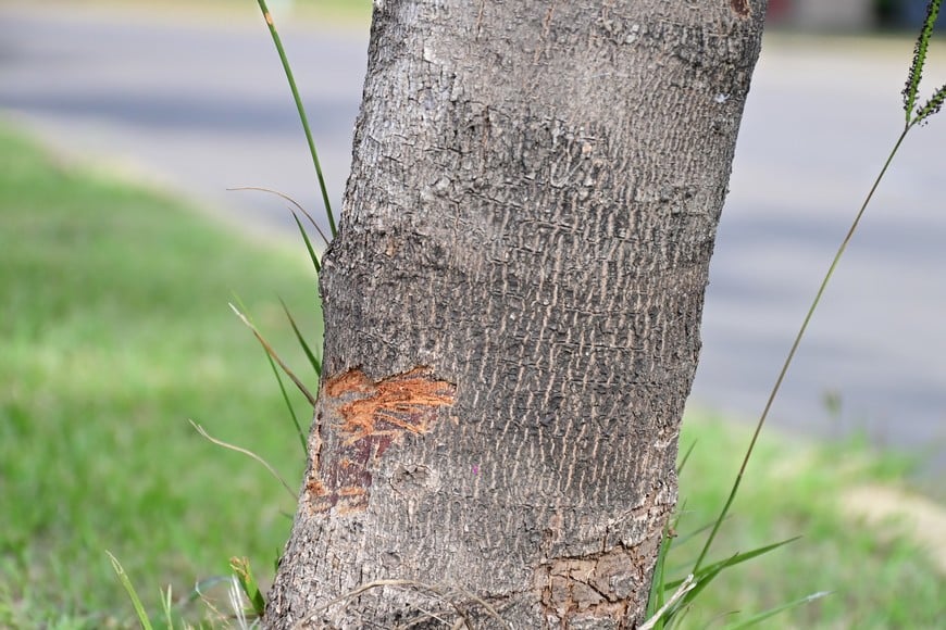 La imagen lo dice todo.