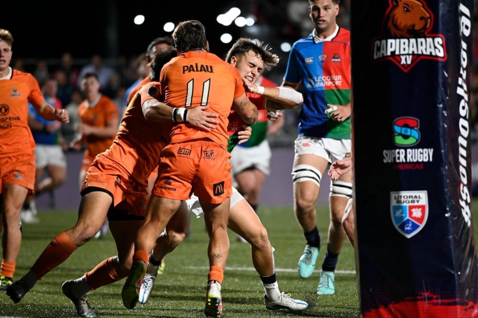 Capibaras XV vs Tarucas.