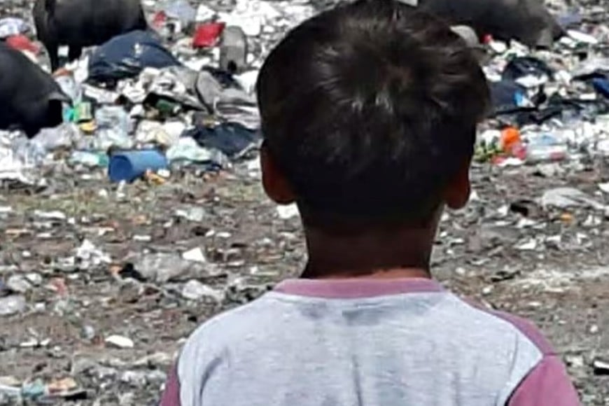 El entorno también favorece la proliferación de enfermedades infecciosas.